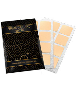 vigand guard control